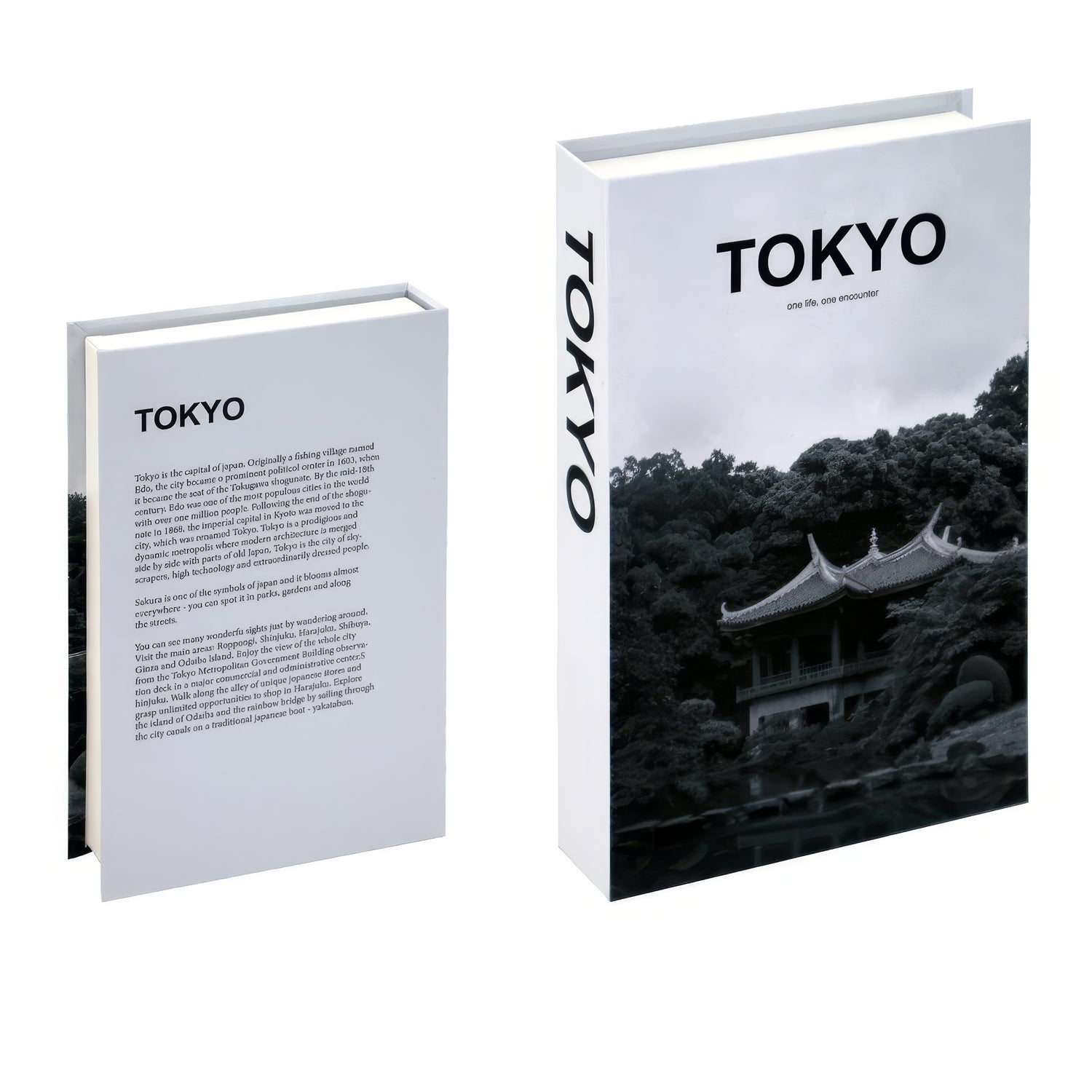 Covert Charm | Luxurious Decorative Coffee Table Books