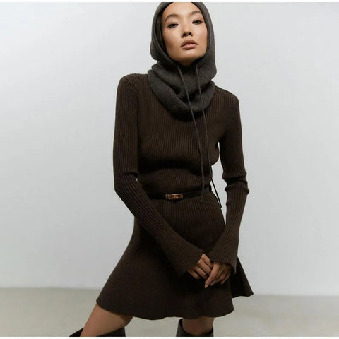 Ella | Charming and Sleek Turtleneck Mini Sweater Dress