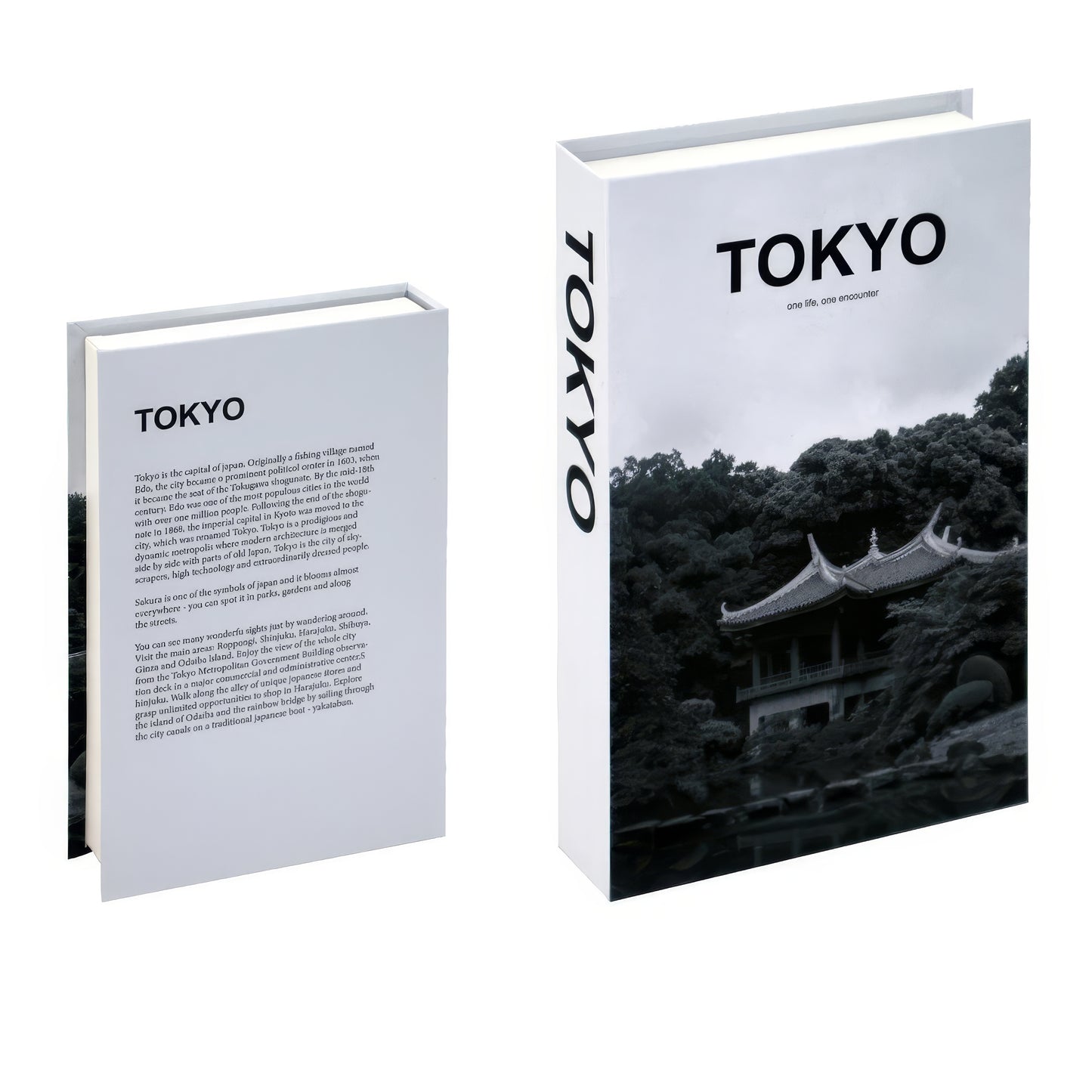 Covert Charm | Luxurious Decorative Coffee Table Books